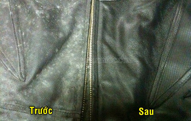 Cách làm sạch áo da bị mốc