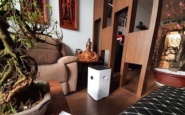 Sử dụng máy hút ẩm không khí là cách khắc phục tốt nhất khi trời nồm