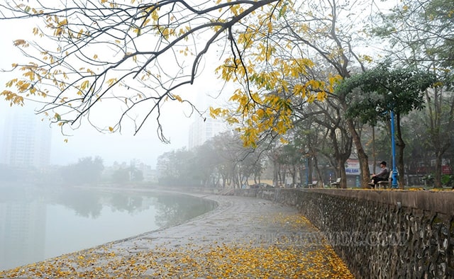 Hình ảnh mưa phùn ở Hà Nội